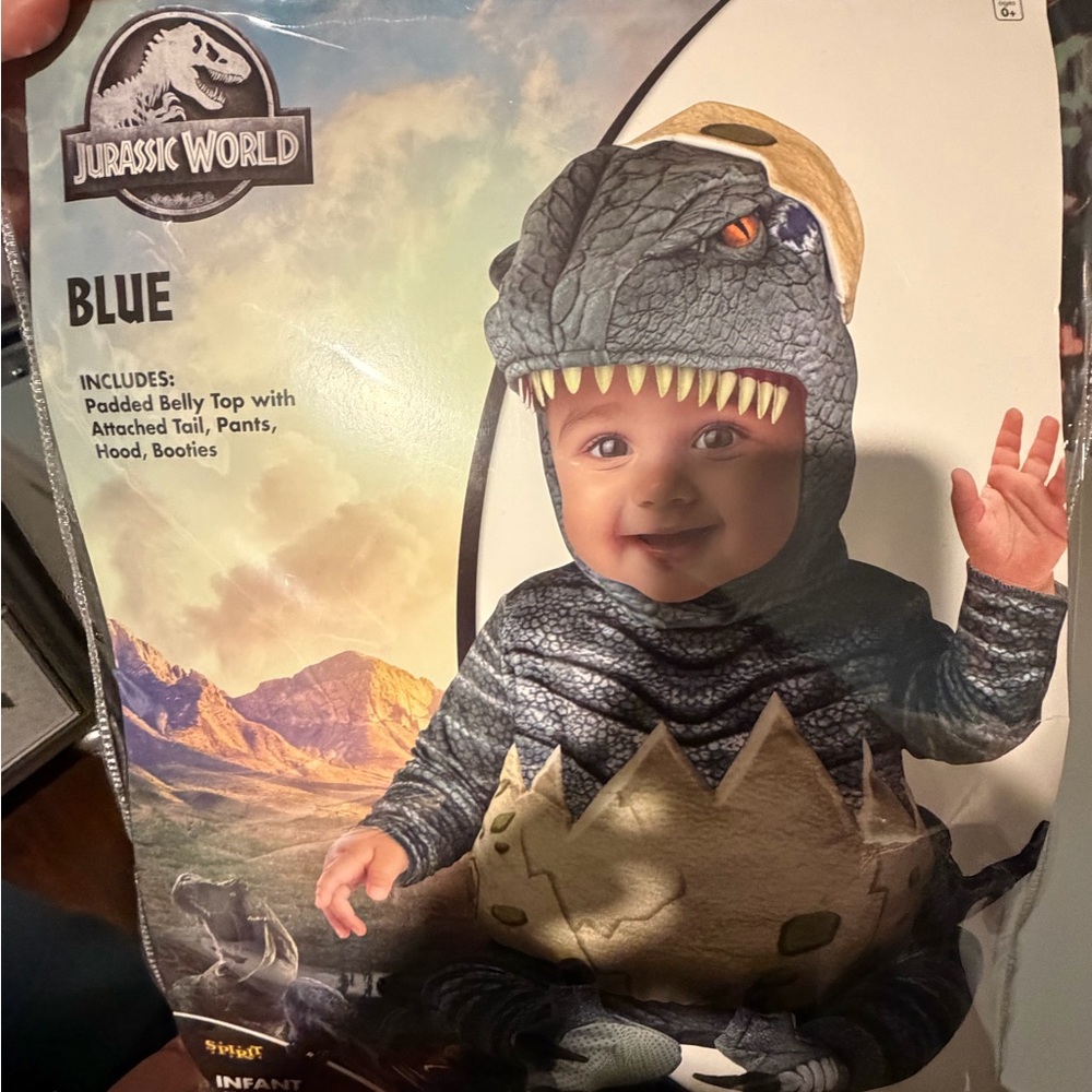 Spirit Jurassic World Dinosaur Costume - Blue and Gray